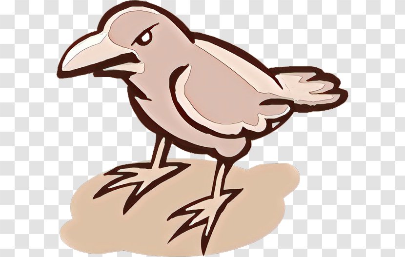 Bird Cartoon Transparent PNG