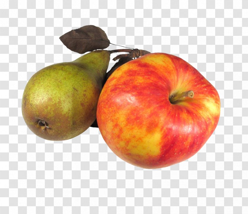 Apples Mespilus Amygdaloideae Pear - Quince - And Pears Transparent PNG