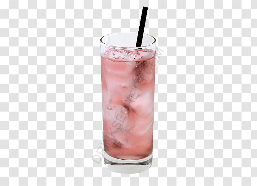 Bay Breeze Cocktail Garnish Chambord Liqueur Gin - Batida Transparent PNG