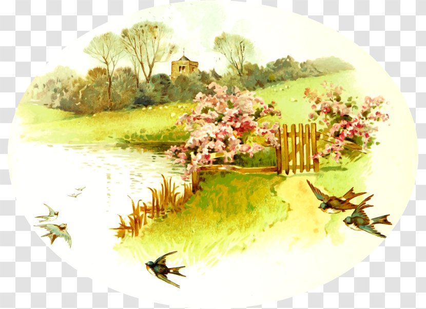 Stock Photography Clip Art - Fauna - Country Transparent PNG