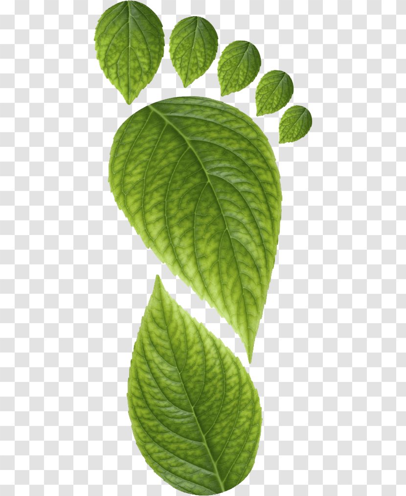 Ecological Footprint Carbon Earth Overshoot Day - Sustainable City - Average Global Temperature 1 000 Years Transparent PNG