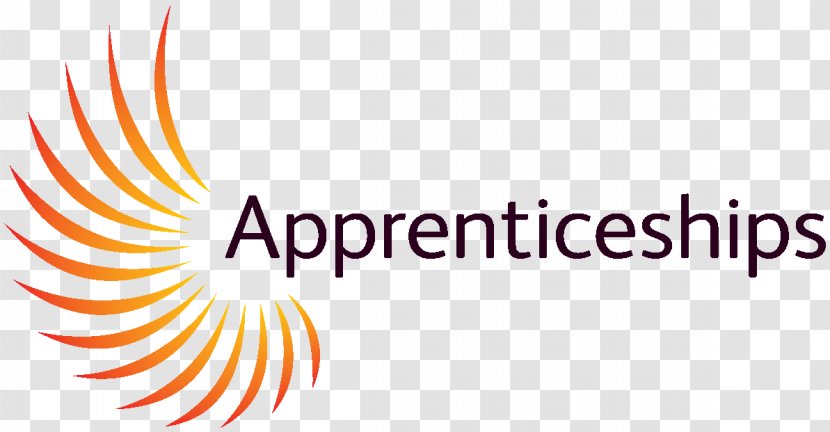 Leicester College National Apprenticeship Service Training Higher Education - School Transparent PNG