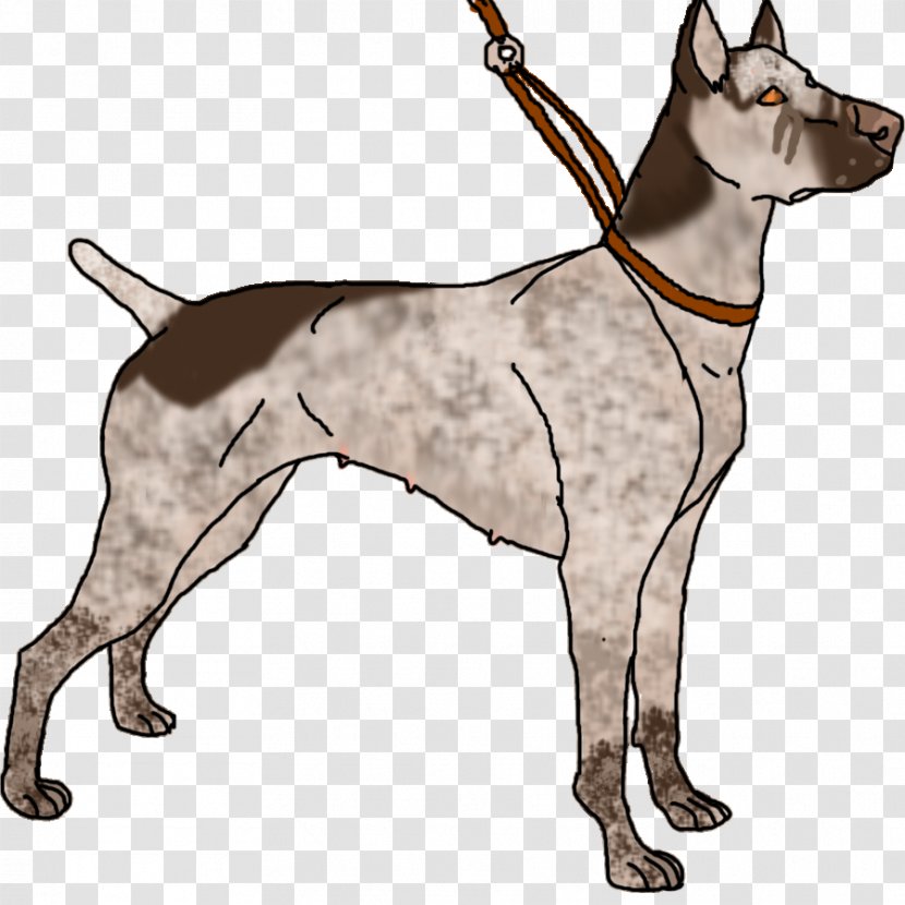 Great Dane Dog Breed Leash Non-sporting Group Clip Art - Rng Transparent PNG