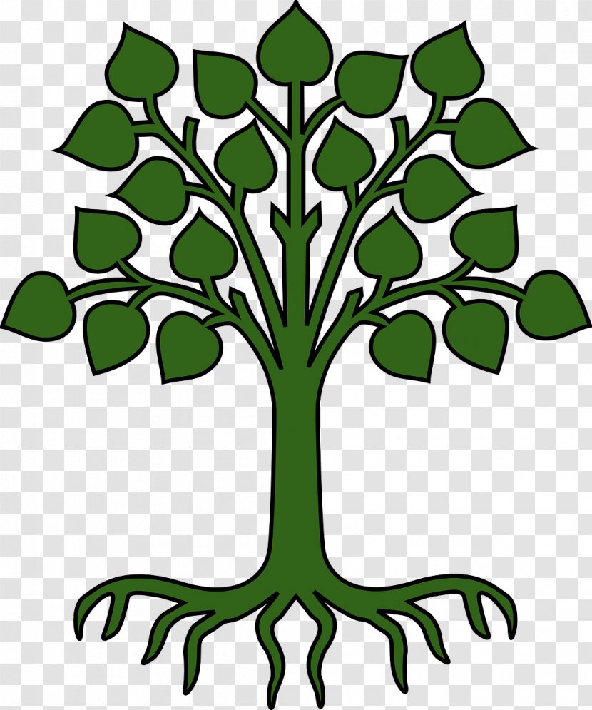 Root Tree Cartoon Clip Art - Plant - Family Transparent PNG