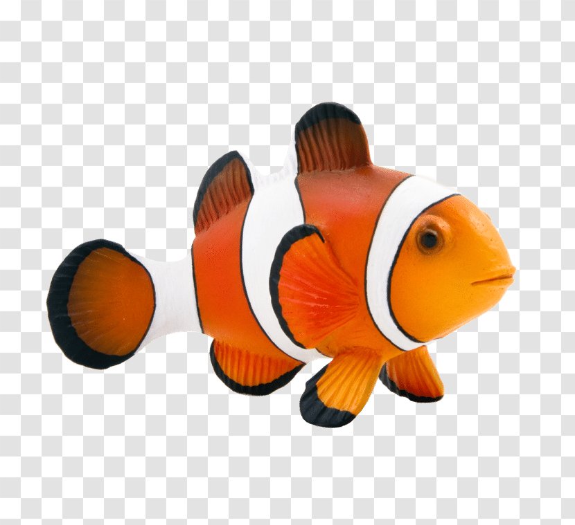 Maroon Clownfish Animal Mojo Fun 387090 Clown Fish - Aquarium Decor Transparent PNG