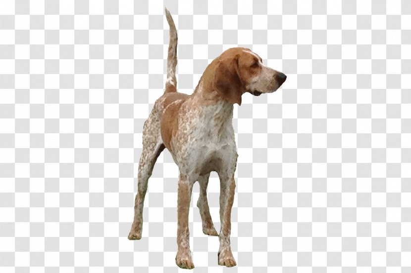American English Coonhound Foxhound Black And Tan Redbone Treeing Walker Transparent PNG