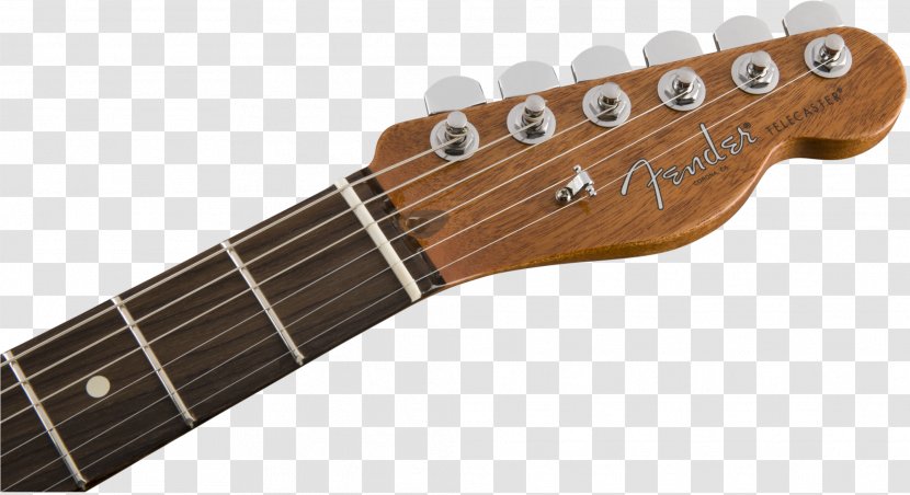 Electric Guitar Fender Stratocaster Telecaster Musical Instruments Corporation - String Instrument Accessory - Into The Woods Taylor Swift Transparent PNG