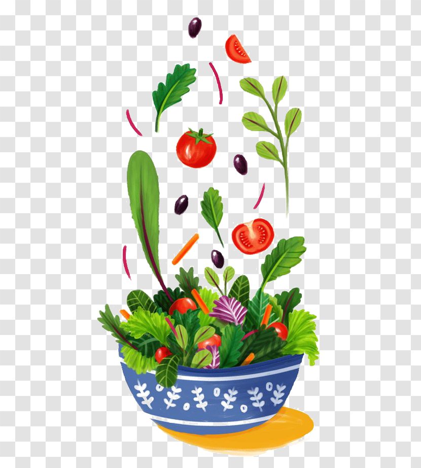Taco Salad Drawing Illustration - Plant - Vegetables Transparent PNG