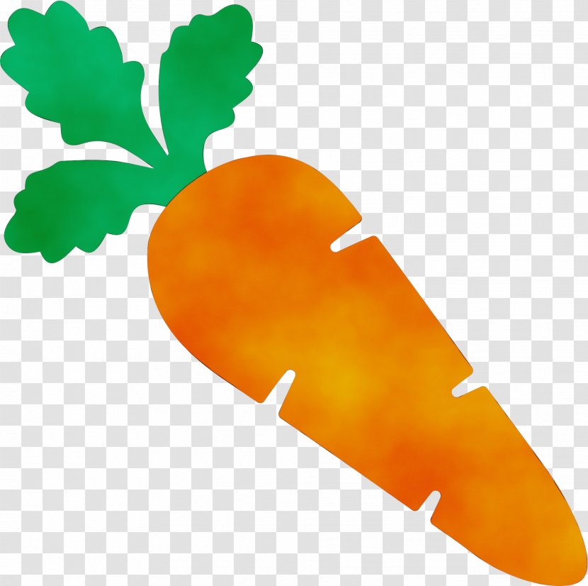 Watercolor Leaf - Radish - Food Vegetarian Transparent PNG