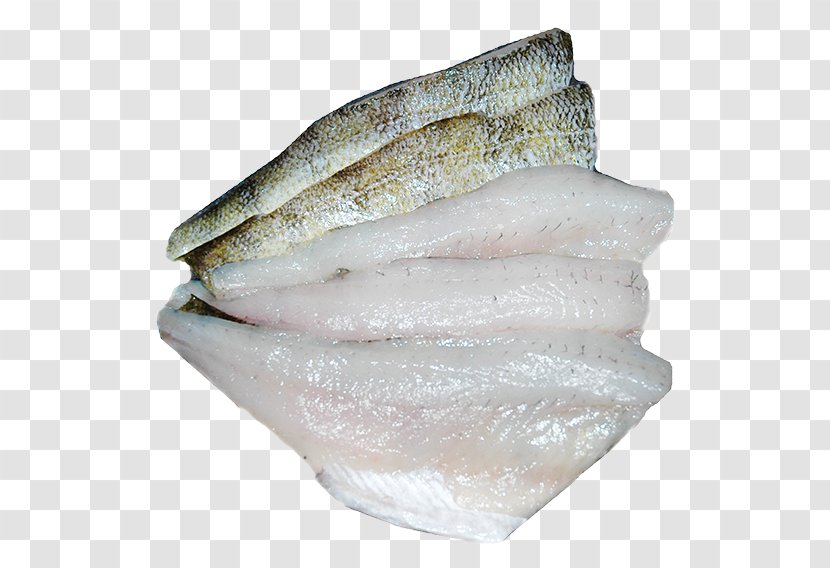 Northern Pike Yellow Perch Rainbow Trout Oily Fish Walleye Transparent PNG