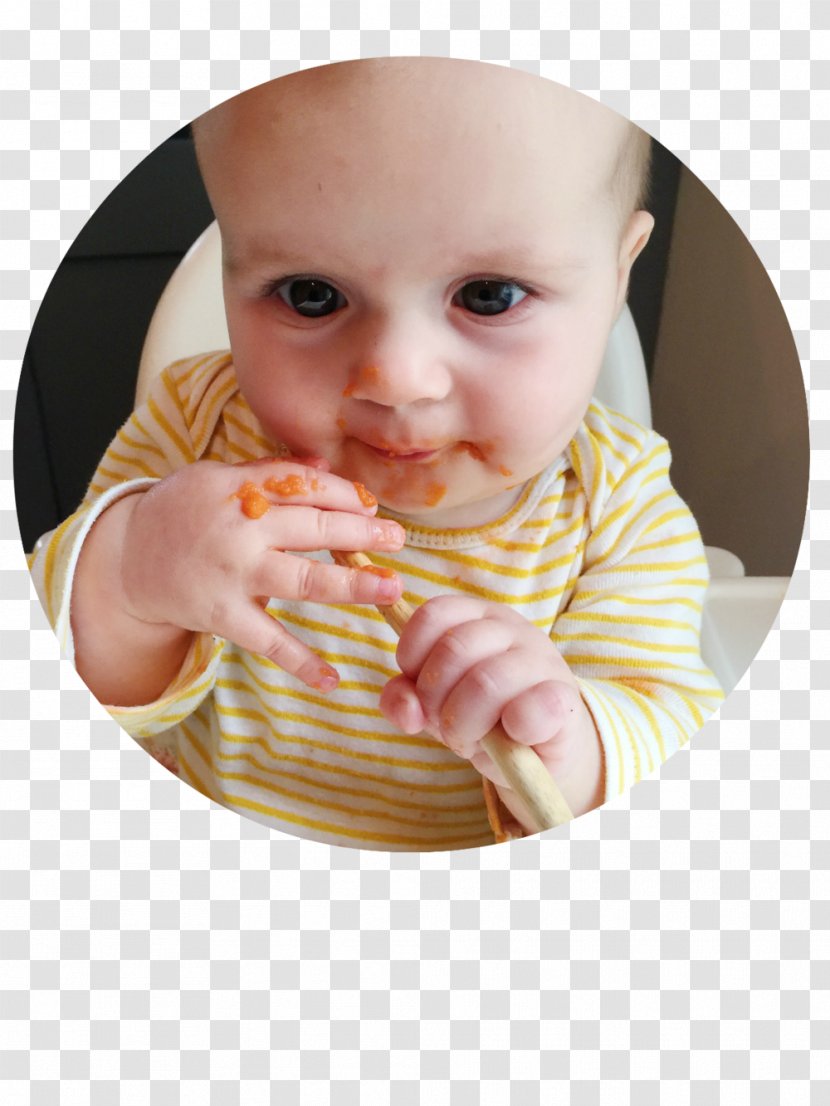 Infant Baby-led Weaning Toddler Food Tummy Time - The Correct Posture Of Baby Feeding Transparent PNG