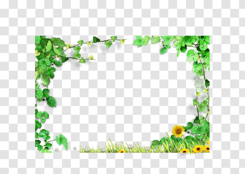 Template - Flower - Green Leaves Frame,Green Background Border Transparent PNG