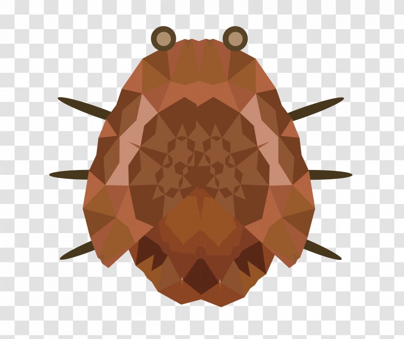 Insect Euclidean Vector - Strange Material Transparent PNG