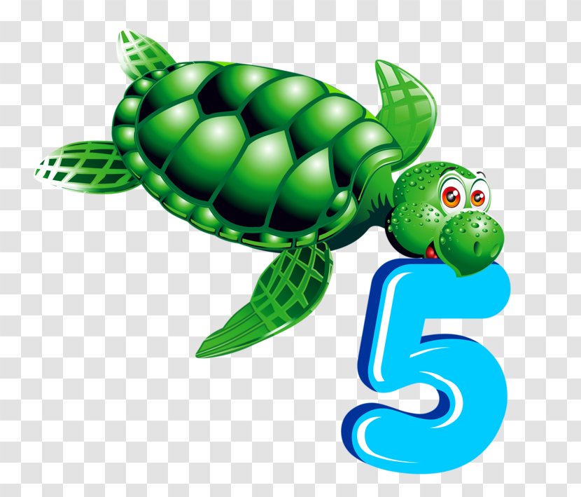 Numerical Digit Sea Turtle Clip Art - Vertebrate - Turtles Play Digital Transparent PNG