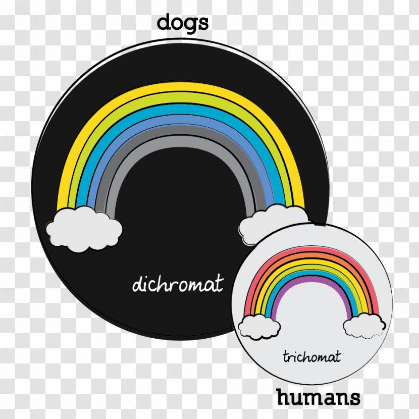 Dog Yellow Dichromacy Red Color Vision - And Human Transparent PNG