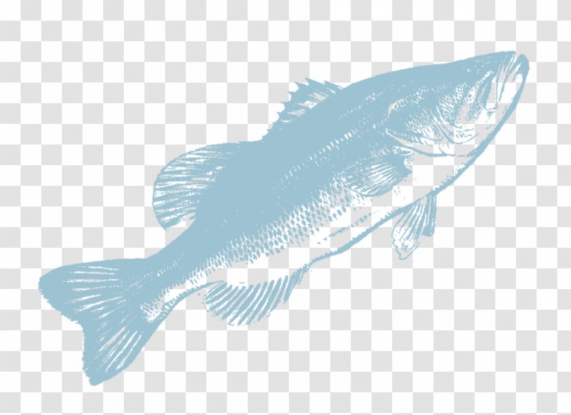 Fauna Marine Mammal Biology Fish Barramundi - Call Of Duty Black Ops - Cacao Peixe Transparent PNG