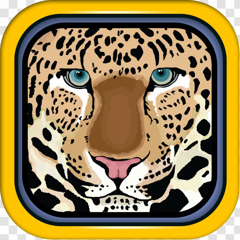 Felidae Leopard Jaguar Tiger Cheetah - Cat Like Mammal Transparent PNG