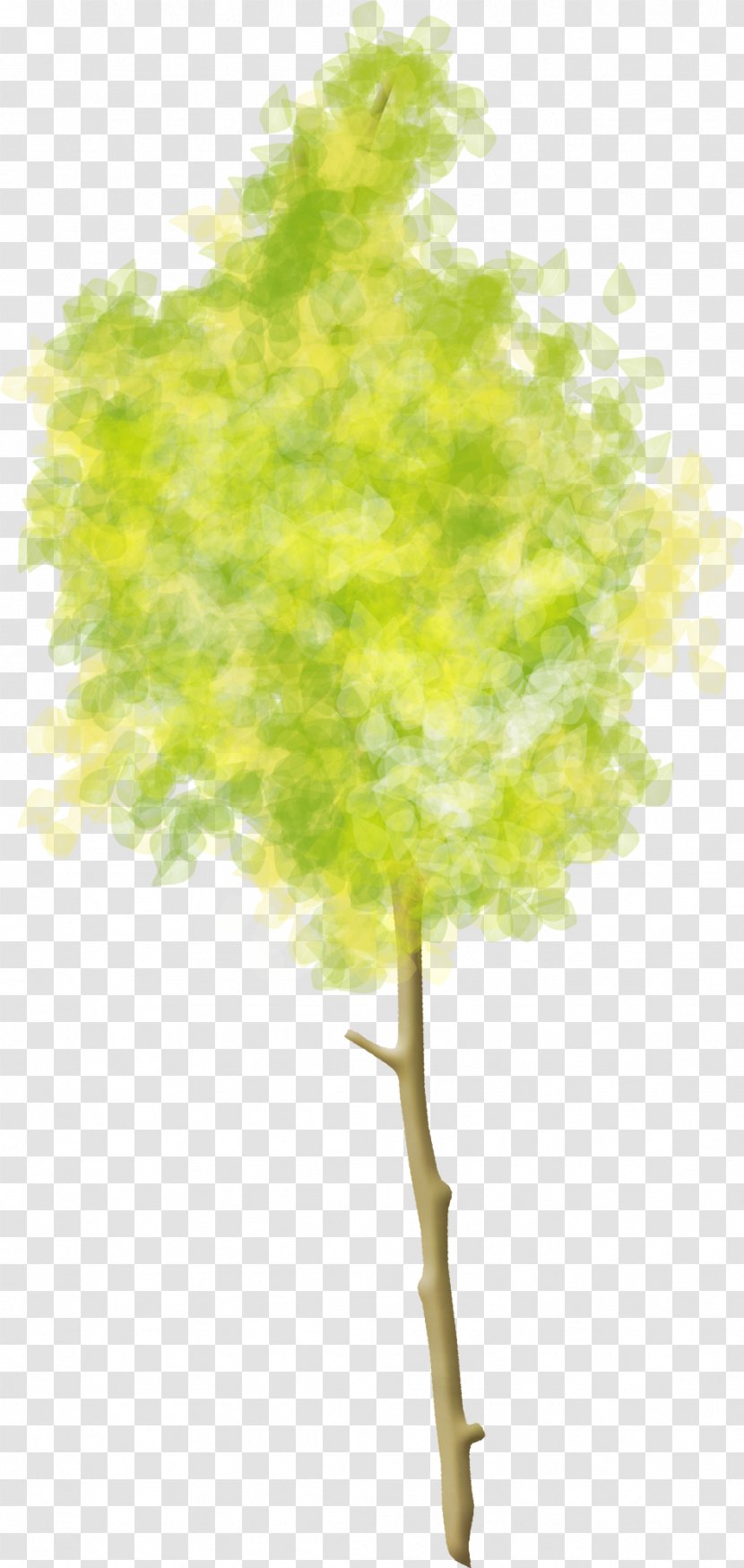 Tree Woody Plant Clip Art - Trees Transparent PNG