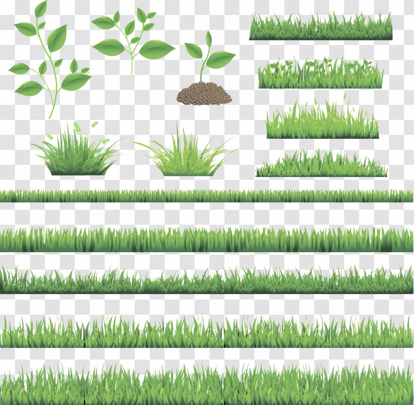 Fresh Green Lawn - Stock Photography - Tree Transparent PNG