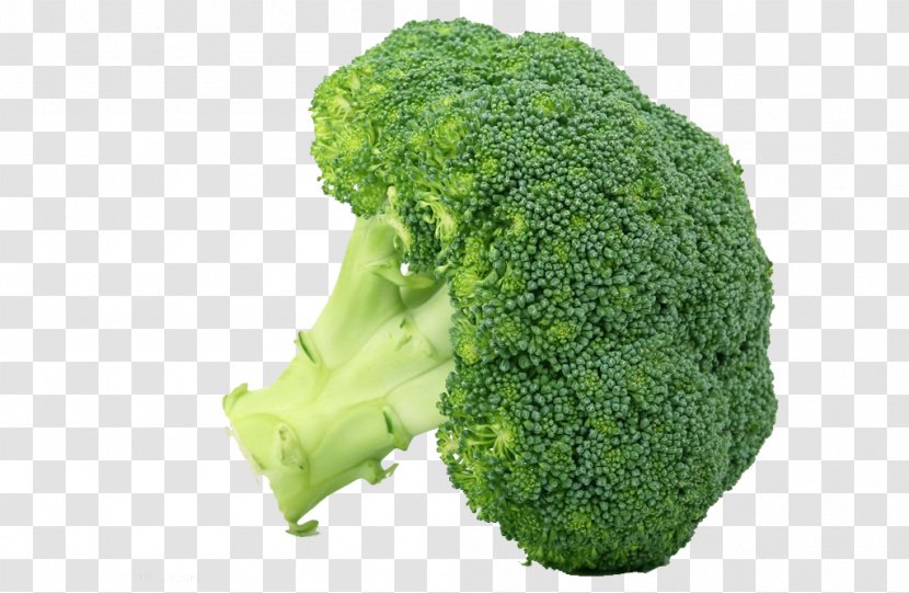 Broccoli Raw Foodism Vegetable Health - Veganism - A Flower Dish Transparent PNG