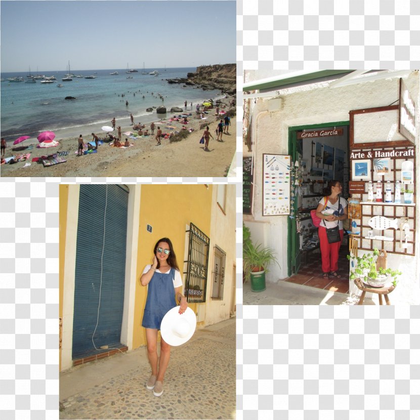 Collage Leisure House Beach Tourism Transparent PNG