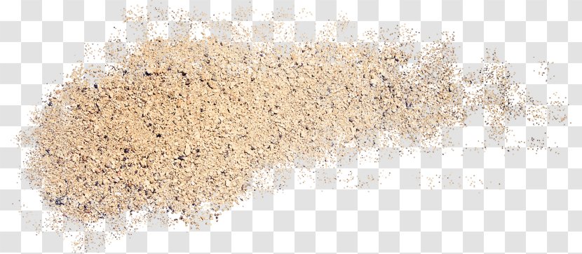Sand - Grass Family - Digital Image Transparent PNG