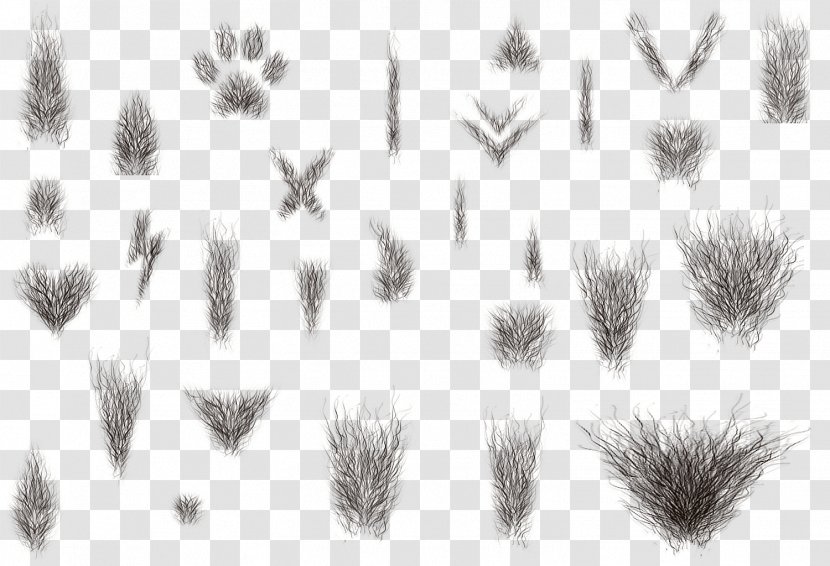 Grasses Line Art Nose Angle Font - Cartoon Transparent PNG