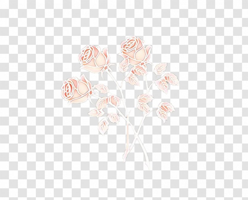 White Pink Flower Beige Plant - Cartoon Transparent PNG