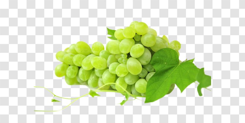 Red Wine White Sultana Muscat Sauvignon Blanc - A String Of Grapes Transparent PNG