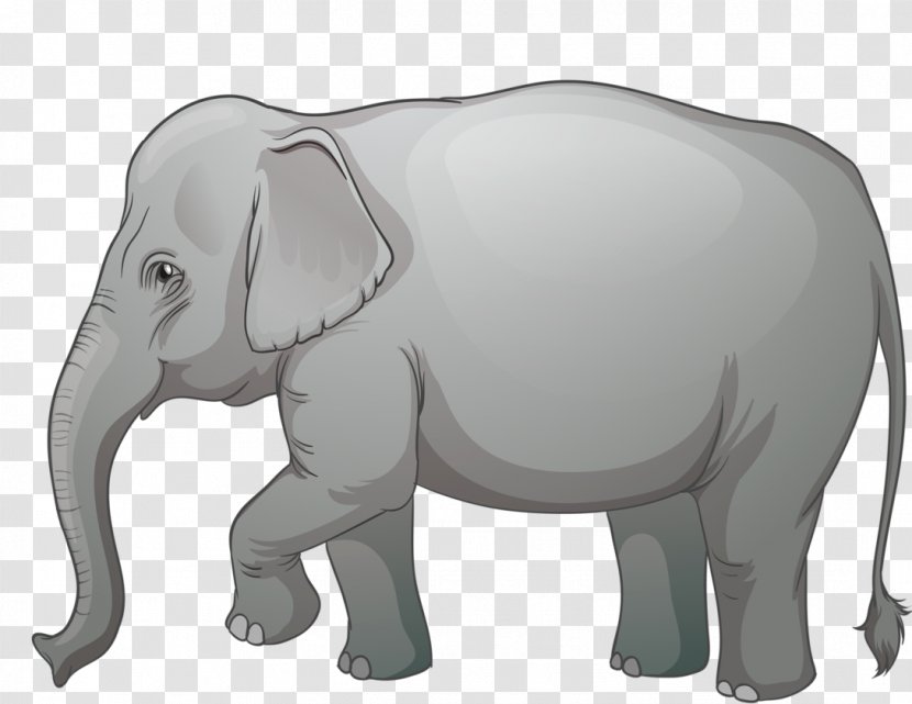 African Elephant Elephants Illustration Vector Graphics Clip Art - White Transparent PNG