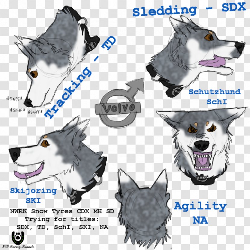 Dog Breed Snout Shoe Font - Schutzhund Transparent PNG