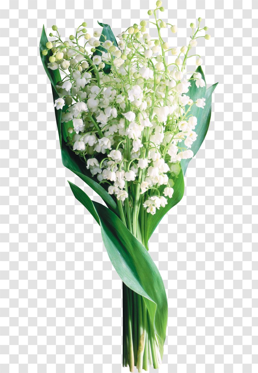 Lily Of The Valley - Floral Design - Artificial Flower Transparent PNG
