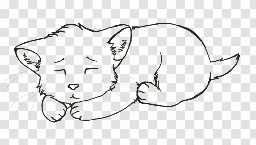 Whiskers Cat Line Art Snout Sketch Transparent PNG