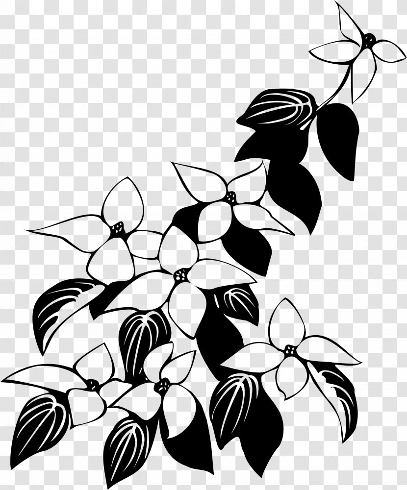 Flowering Dogwood Kousa Drawing - Line Art - Lace Boarder Transparent PNG