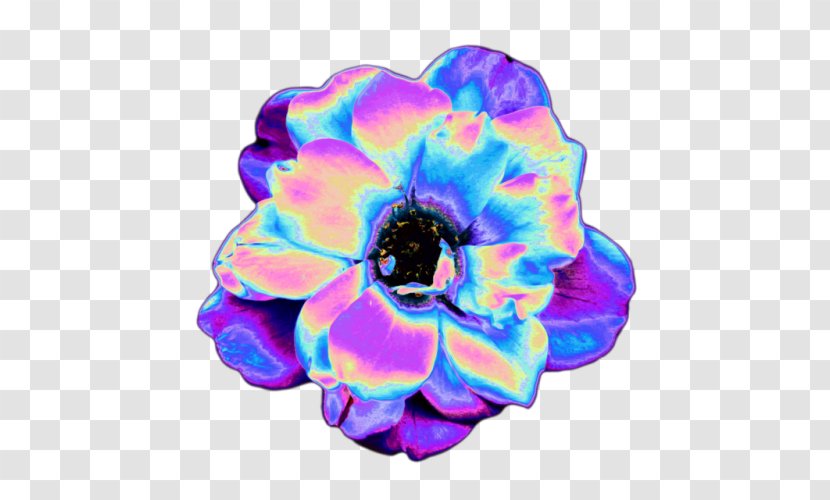 Vaporwave Cut Flowers Tumblr - Sticker - Flower Transparent PNG