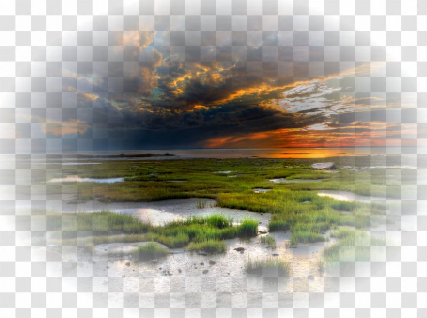 2015 Live At Sunset Sky Photography - Reflection - Landscape Transparent PNG