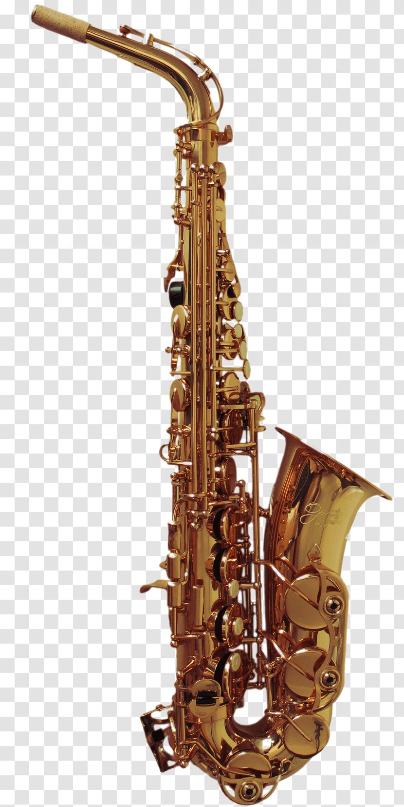 Baritone Saxophone Alto Yanagisawa Wind Instruments Clarinet Family - Flower - Sax Transparent PNG