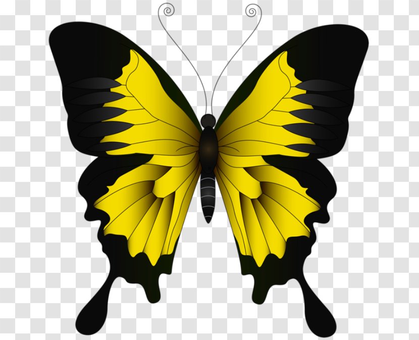 Clip Art Ulysses Butterfly Illustration Brush-footed Butterflies - Pieridae - Borboleta Vermelha E Preta Transparent PNG