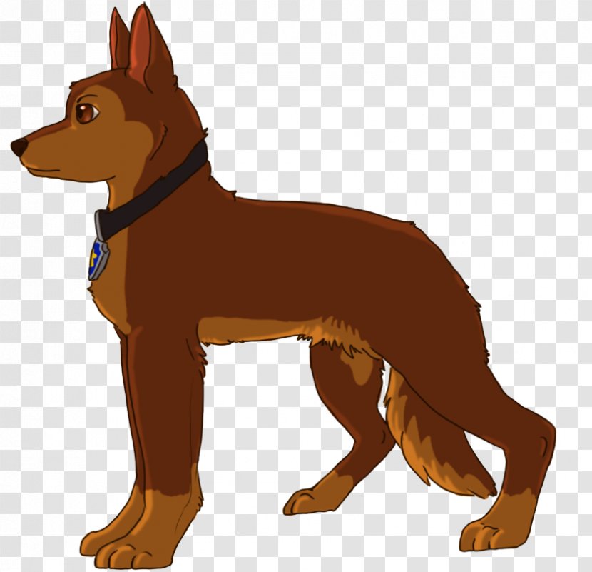 Australian Kelpie Puppy Dog Breed Razas Nativas Vulnerables - Like Mammal Transparent PNG