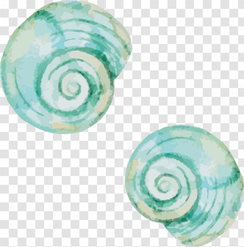 Mollusc Shell Seashell Snail - Chinese White Shrimp - Green Conch Transparent PNG