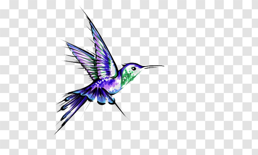 Hummingbird Tattoo Black-and-gray - Art - Tattoos Transparent Transparent PNG