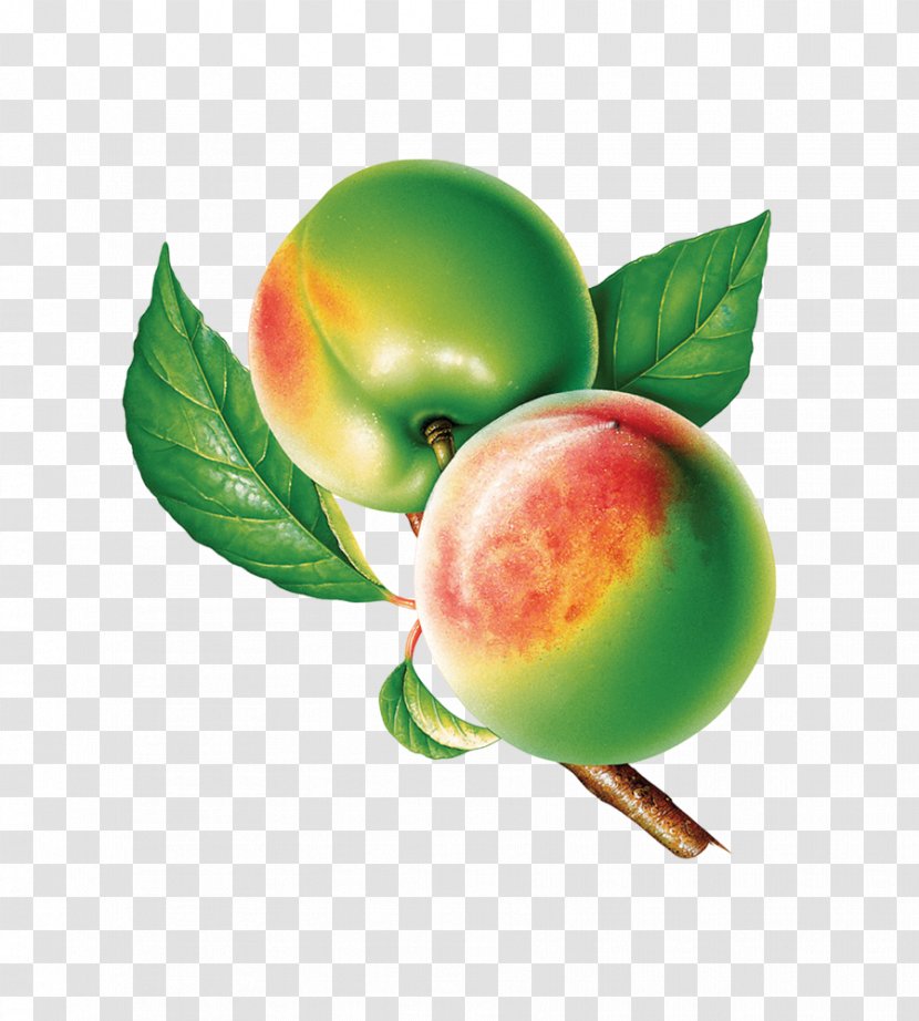 Peach Icon - Google Images - Peaches Transparent PNG