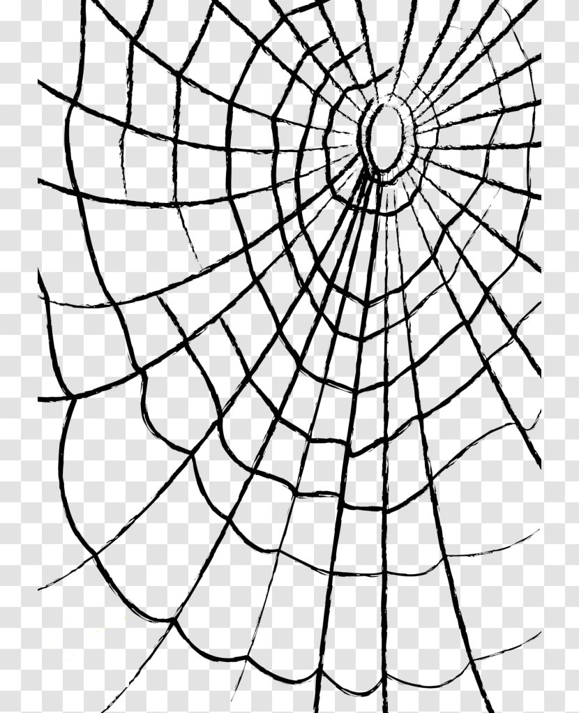 Spider Web Clip Art - Blog - Cobweb Pictures Transparent PNG