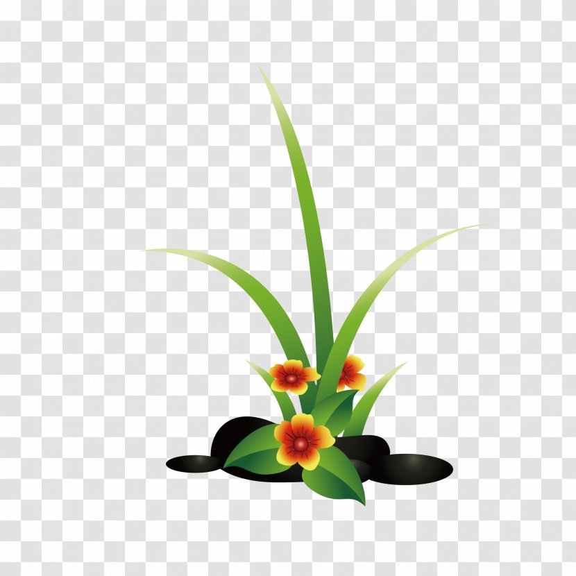 Vector Graphics Cartoon Illustration Image - Plant Stem - Beautiful Flower Transparent PNG