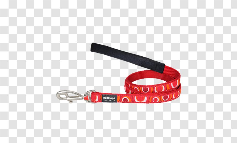 Leash Dingo Dog Collar - Pet Transparent PNG