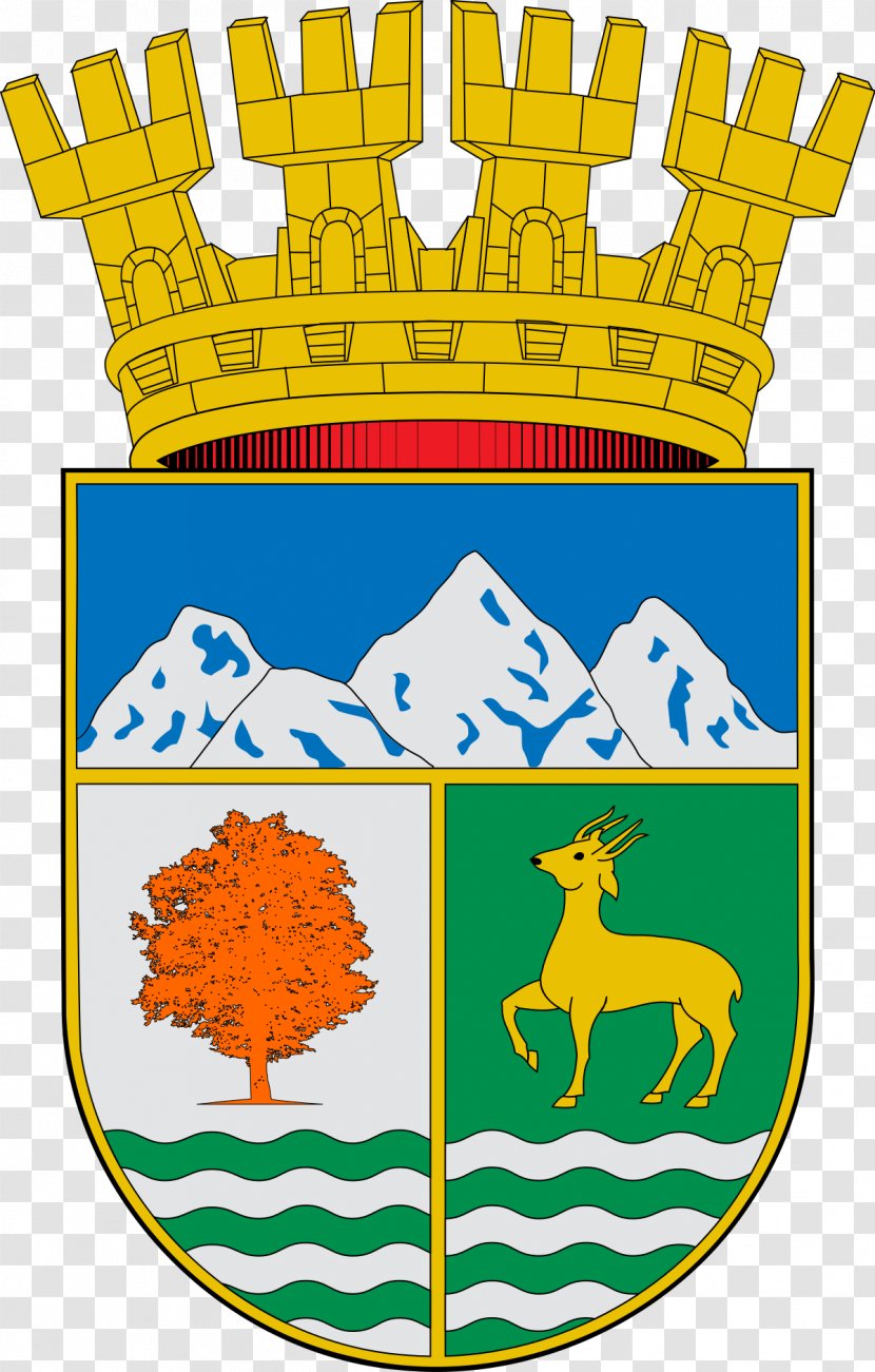 Coyhaique Salamanca Wikimedia Commons Flag Independent Democratic Union - Area - Trametes Transparent PNG