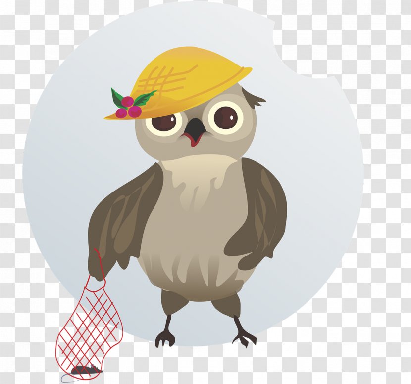 Bird Owl Transparent PNG