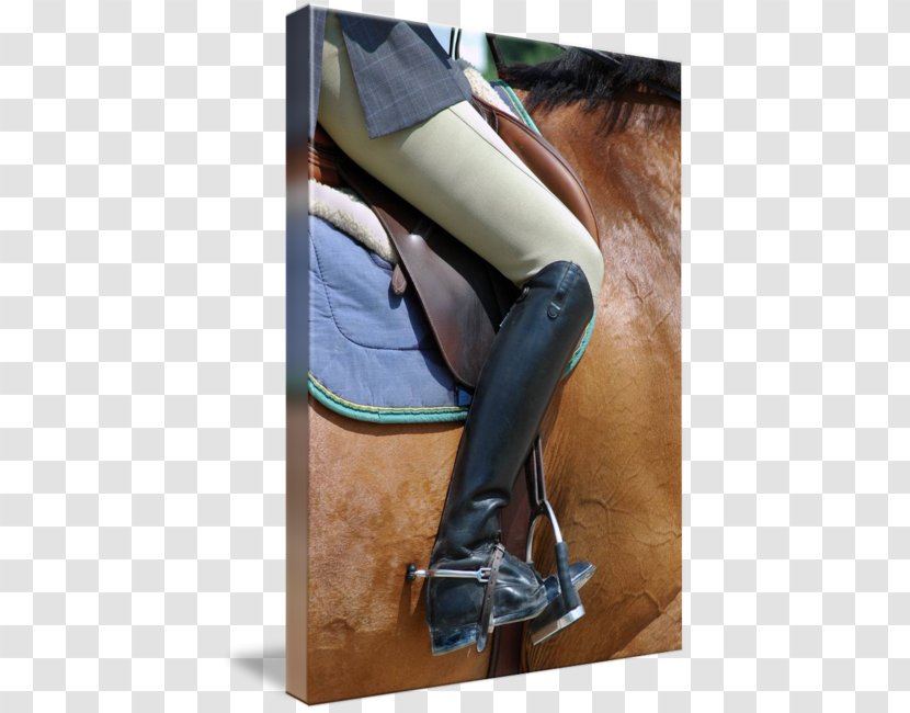 Bridle Riding Boot Equestrian Saddle Rein - Shoe - Boots Transparent PNG