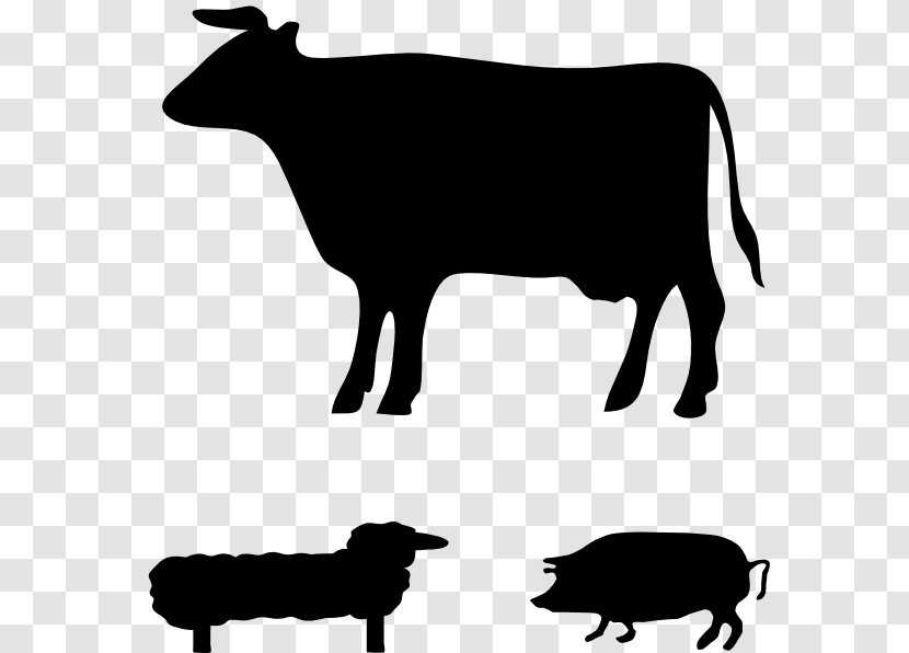 Angus Cattle Jersey Welsh Black Guernsey Holstein Friesian - Artwork - Farm Animals Transparent PNG