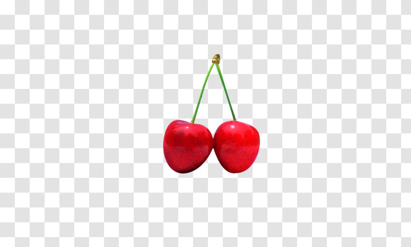 Sweet Cherry Cerasus Flavor Drupe - Physical Material Picture Transparent PNG